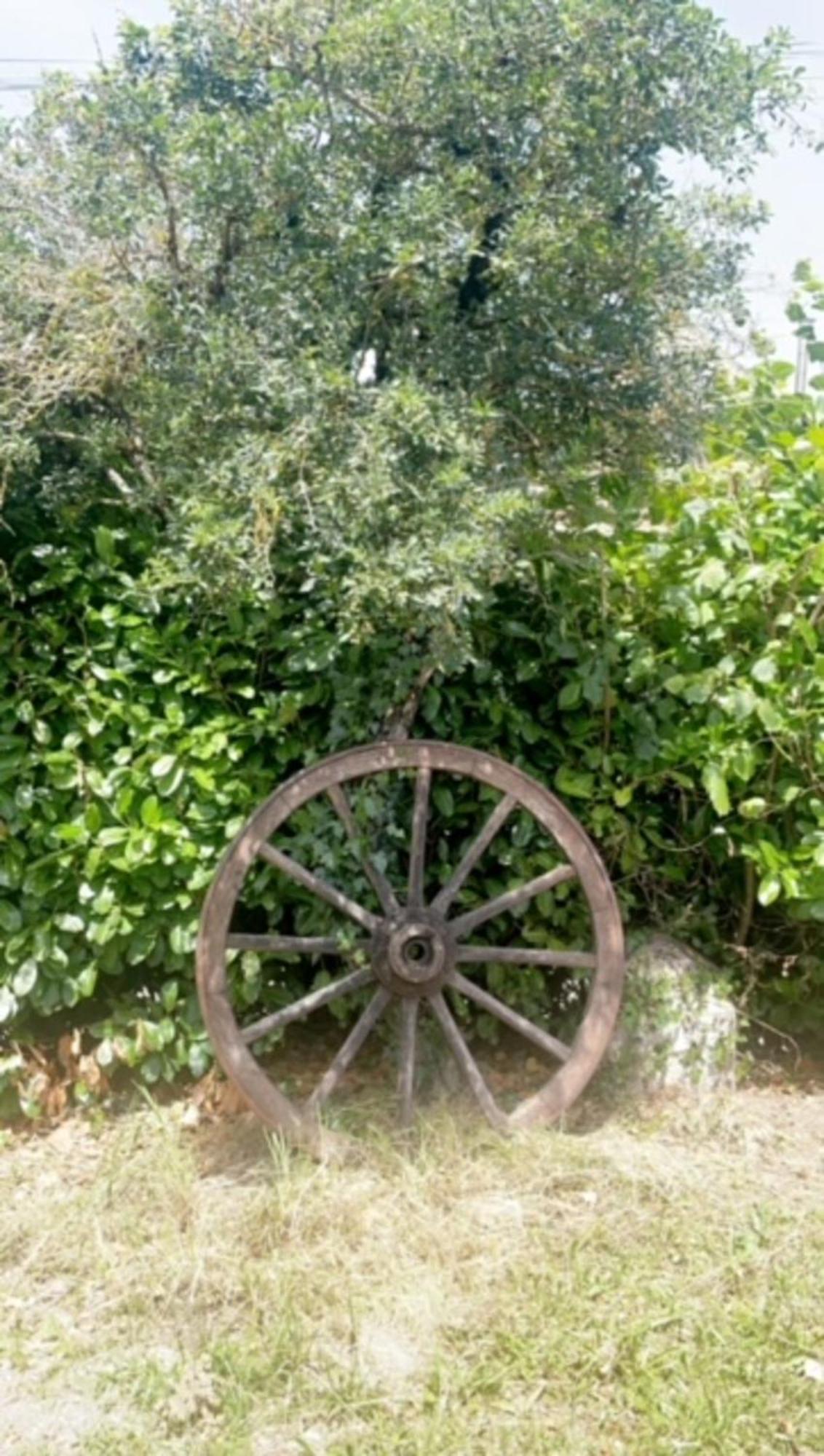 مبيت وإفطار Castanet  La Grange Du Contoures المظهر الخارجي الصورة